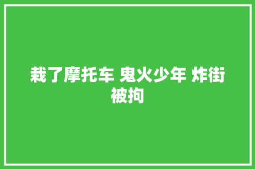 栽了摩托车 鬼火少年 炸街被拘