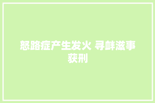 怒路症产生发火 寻衅滋事获刑