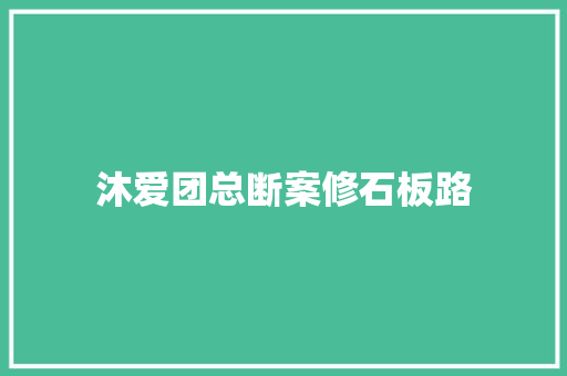 沐爱团总断案修石板路