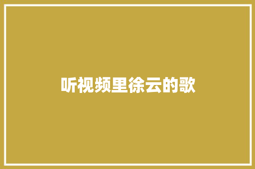 听视频里徐云的歌
