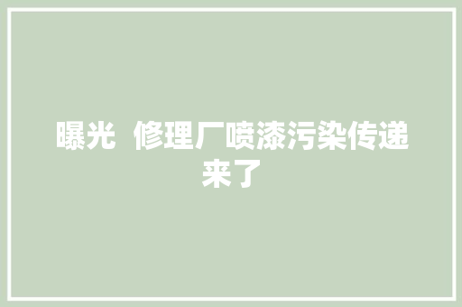 曝光  修理厂喷漆污染传递来了