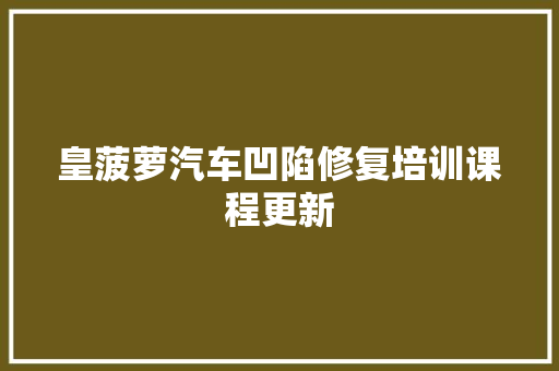 皇菠萝汽车凹陷修复培训课程更新