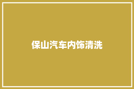 保山汽车内饰清洗