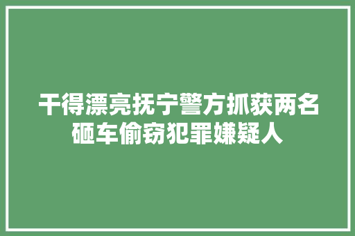 干得漂亮抚宁警方抓获两名砸车偷窃犯罪嫌疑人