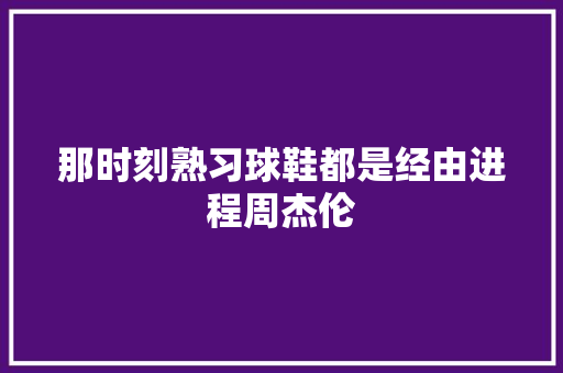 那时刻熟习球鞋都是经由进程周杰伦 休闲娱乐