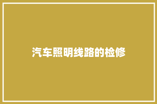 汽车照明线路的检修