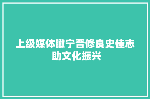 上级媒体瞰宁晋修良史佳志 助文化振兴