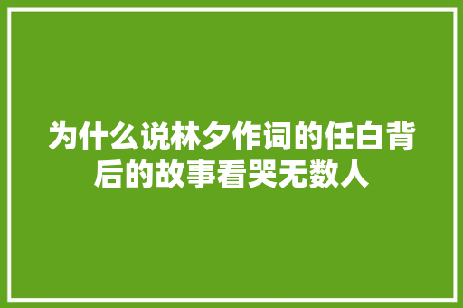 为什么说林夕作词的任白背后的故事看哭无数人