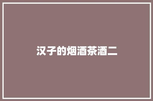 汉子的烟酒茶酒二