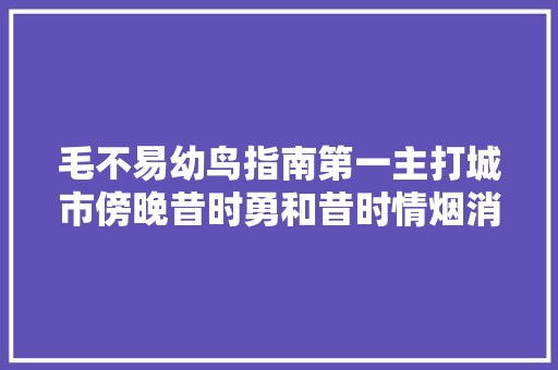 毛不易幼鸟指南第一主打城市傍晚昔时勇和昔时情烟消云散
