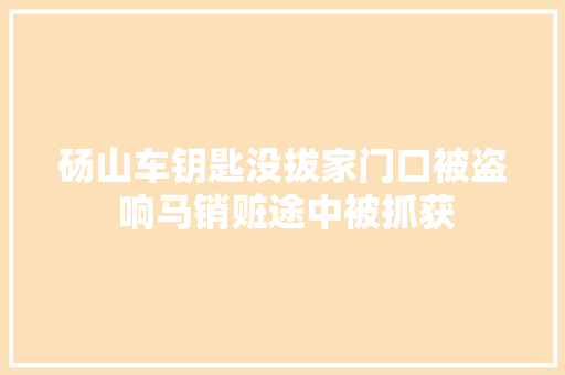 砀山车钥匙没拔家门口被盗 响马销赃途中被抓获