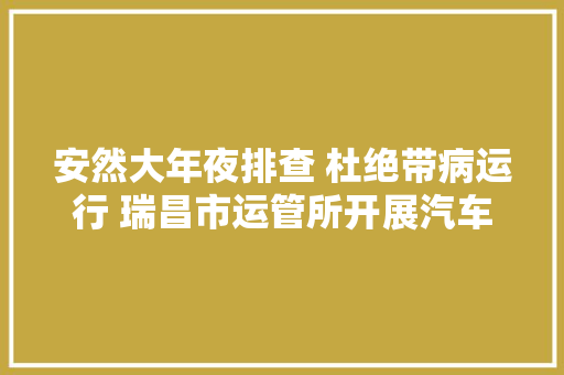 安然大年夜排查 杜绝带病运行 瑞昌市运管所开展汽车运输专项整治