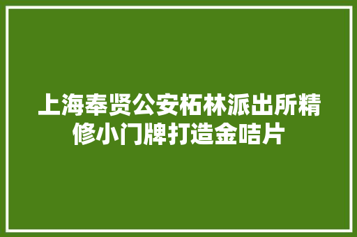 上海奉贤公安柘林派出所精修小门牌打造金咭片