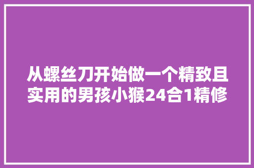 从螺丝刀开始做一个精致且实用的男孩小猴24合1精修螺丝刀