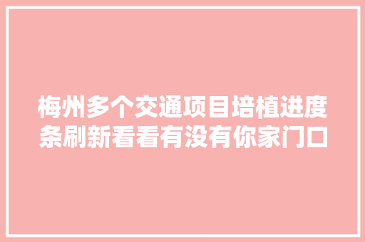 梅州多个交通项目培植进度条刷新看看有没有你家门口的→