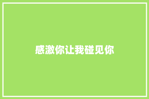 感激你让我碰见你