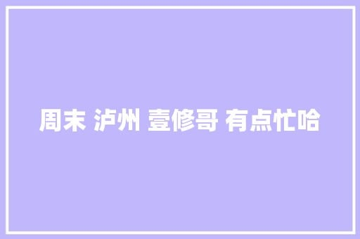 周末 泸州 壹修哥 有点忙哈