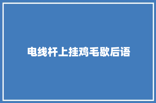 电线杆上挂鸡毛歇后语