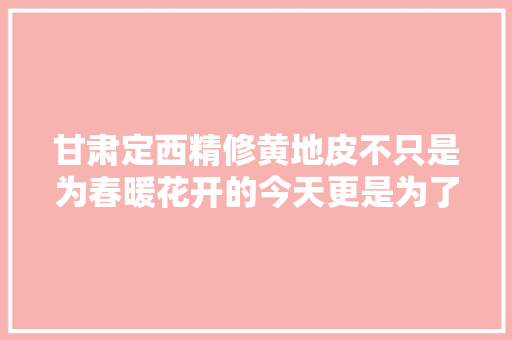 甘肃定西精修黄地皮不只是为春暖花开的今天更是为了绿水青山的明天