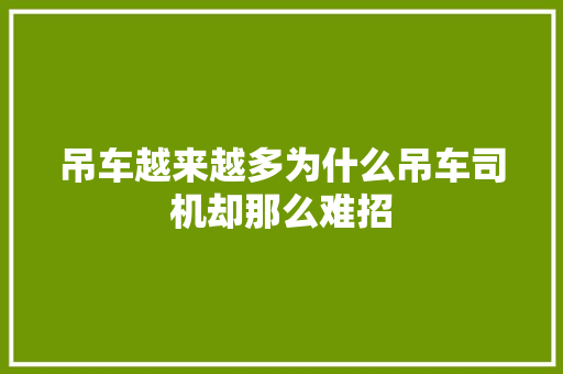 吊车越来越多为什么吊车司机却那么难招