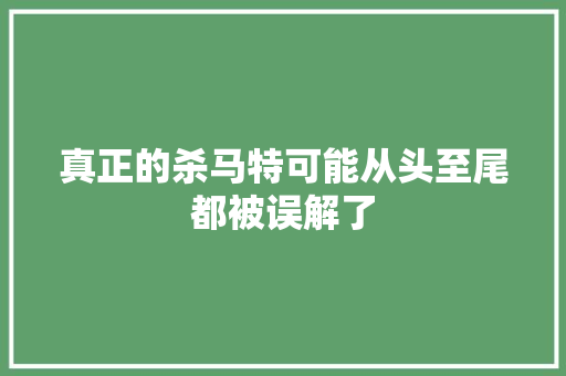 真正的杀马特可能从头至尾都被误解了