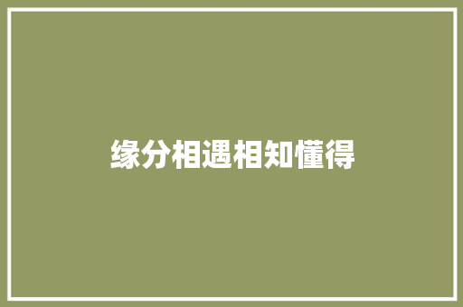 缘分相遇相知懂得