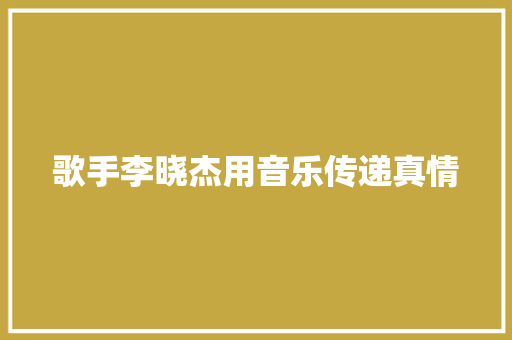 歌手李晓杰用音乐传递真情