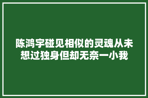 陈鸿宇碰见相似的灵魂从未想过独身但却无奈一小我