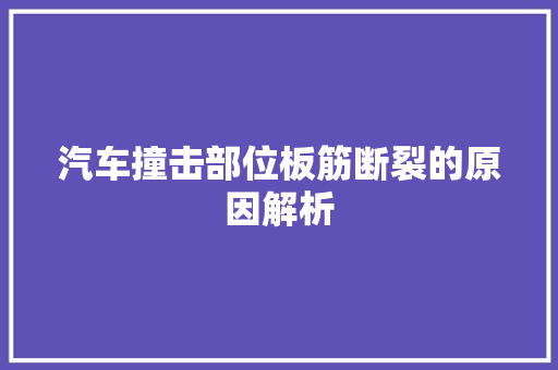 汽车撞击部位板筋断裂的原因解析