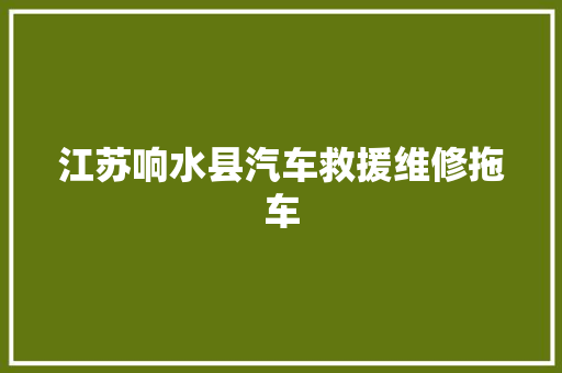 江苏响水县汽车救援维修拖车