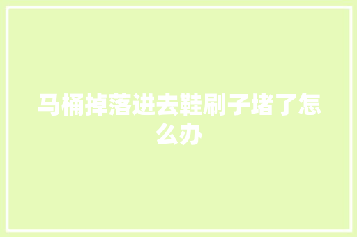马桶掉落进去鞋刷子堵了怎么办
