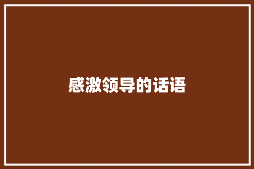 感激领导的话语