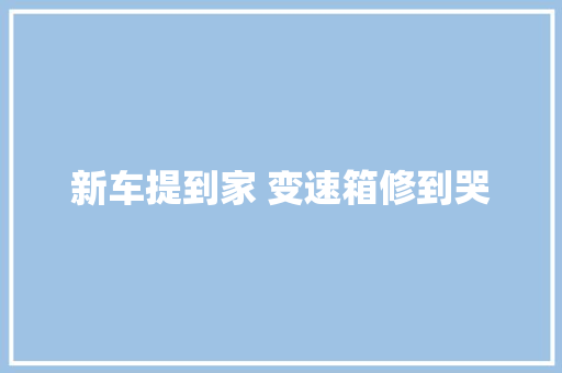 新车提到家 变速箱修到哭