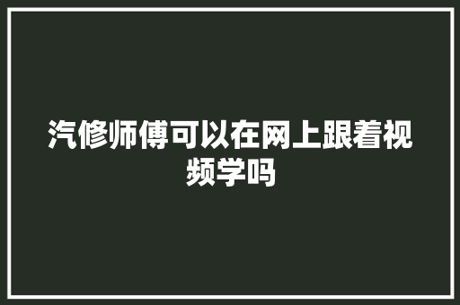 汽修师傅可以在网上跟着视频学吗
