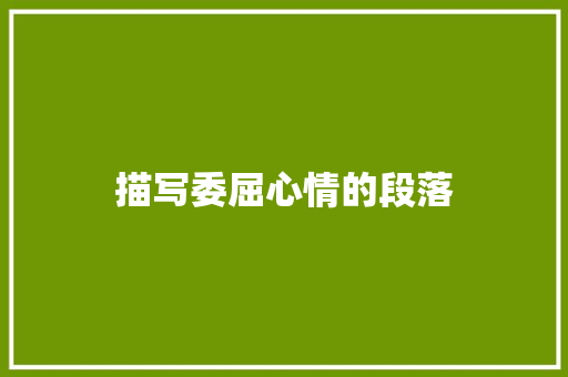 描写委屈心情的段落