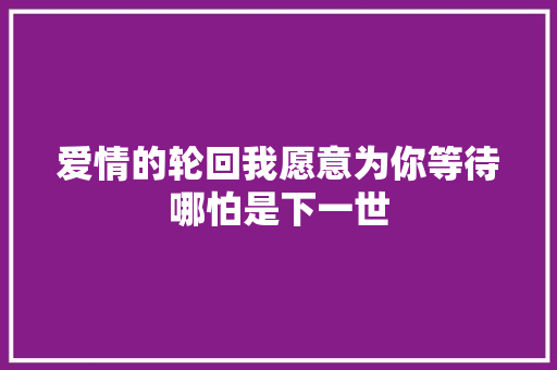 爱情的轮回我愿意为你等待哪怕是下一世