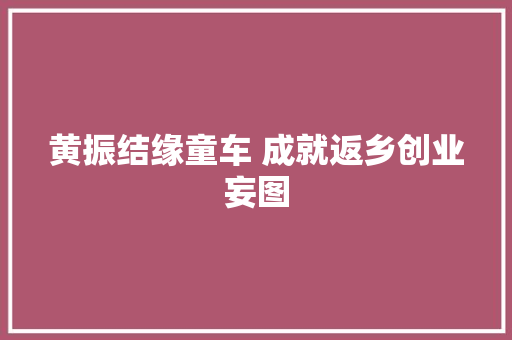 黄振结缘童车 成就返乡创业妄图