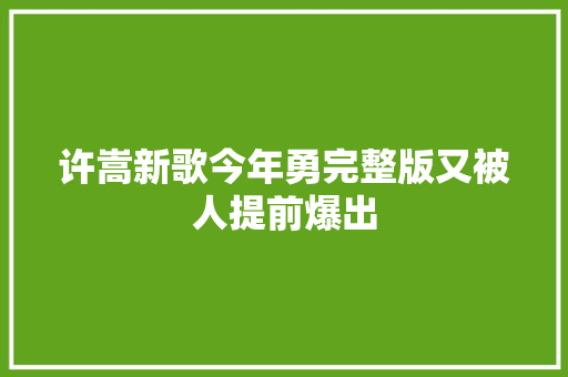 许嵩新歌今年勇完整版又被人提前爆出