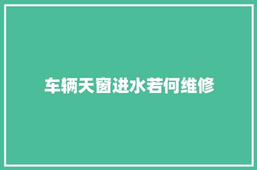 车辆天窗进水若何维修