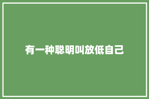 有一种聪明叫放低自己