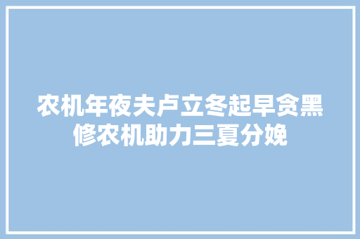 农机年夜夫卢立冬起早贪黑修农机助力三夏分娩