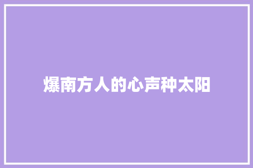 爆南方人的心声种太阳