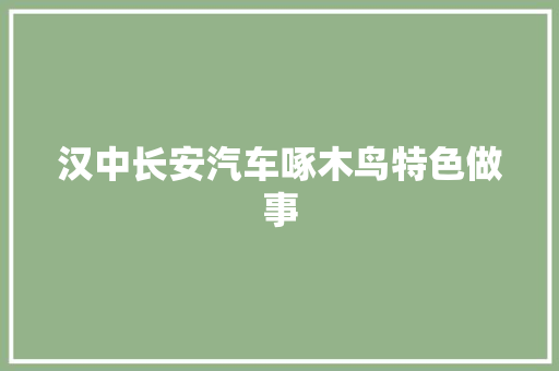 汉中长安汽车啄木鸟特色做事