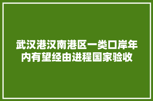 武汉港汉南港区一类口岸年内有望经由进程国家验收