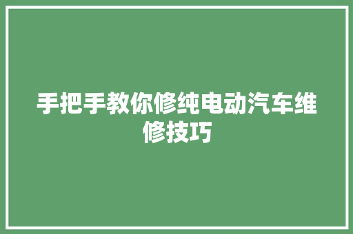 手把手教你修纯电动汽车维修技巧
