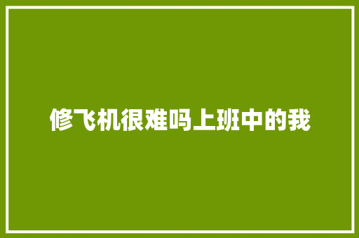 修飞机很难吗上班中的我
