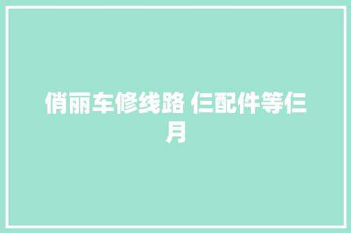 俏丽车修线路 仨配件等仨月