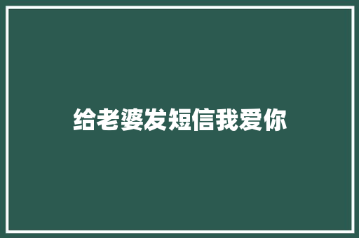 给老婆发短信我爱你