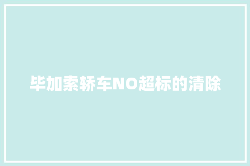 毕加索轿车NO超标的清除