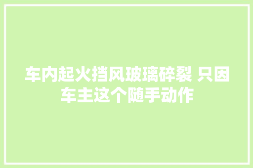 车内起火挡风玻璃碎裂 只因车主这个随手动作